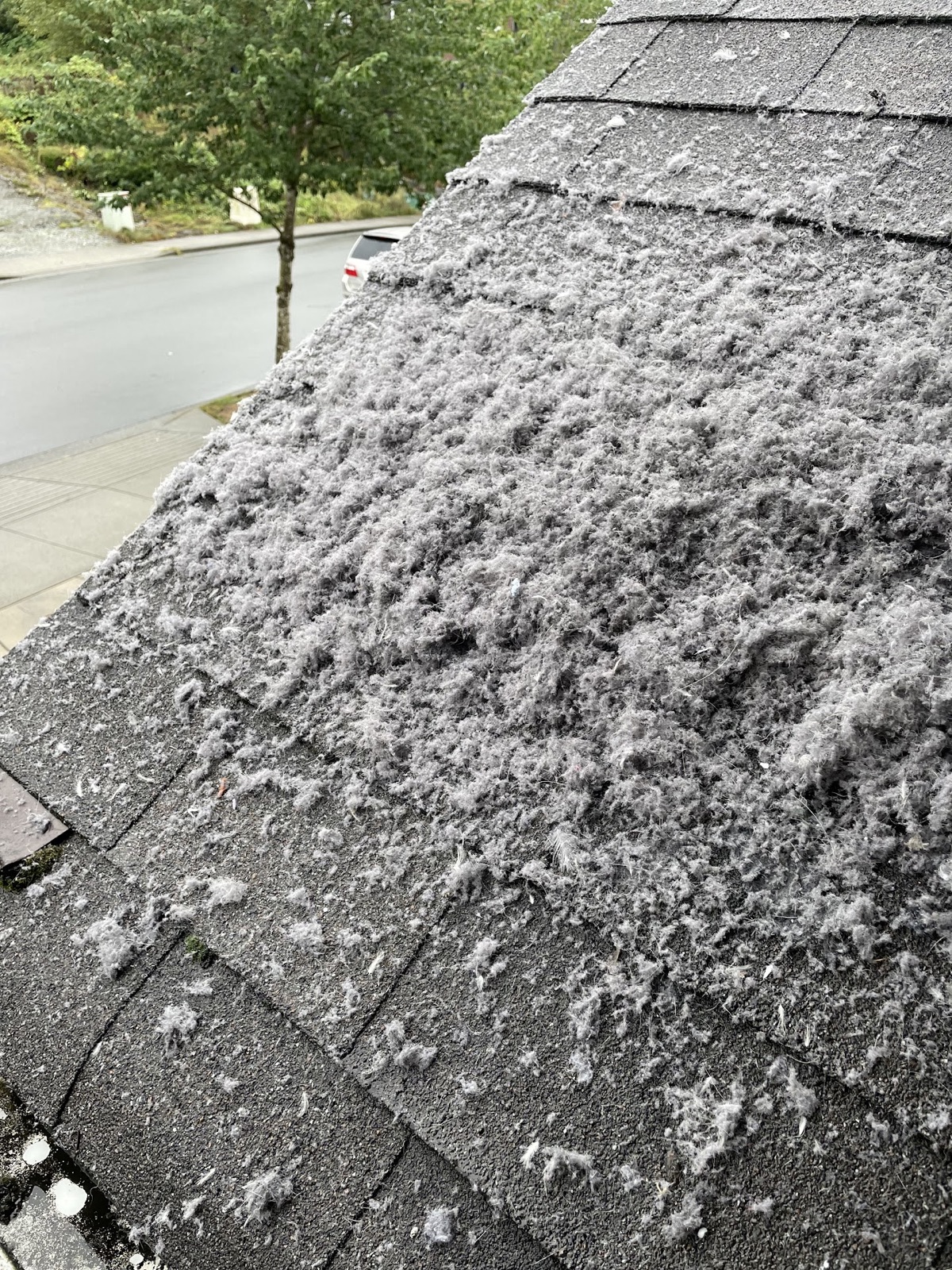 Large volume of lint removed during roof-access dryer vent cleaning