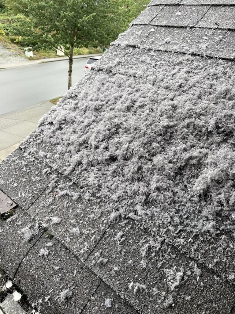 Large volume of lint removed during roof-access dryer vent cleaning